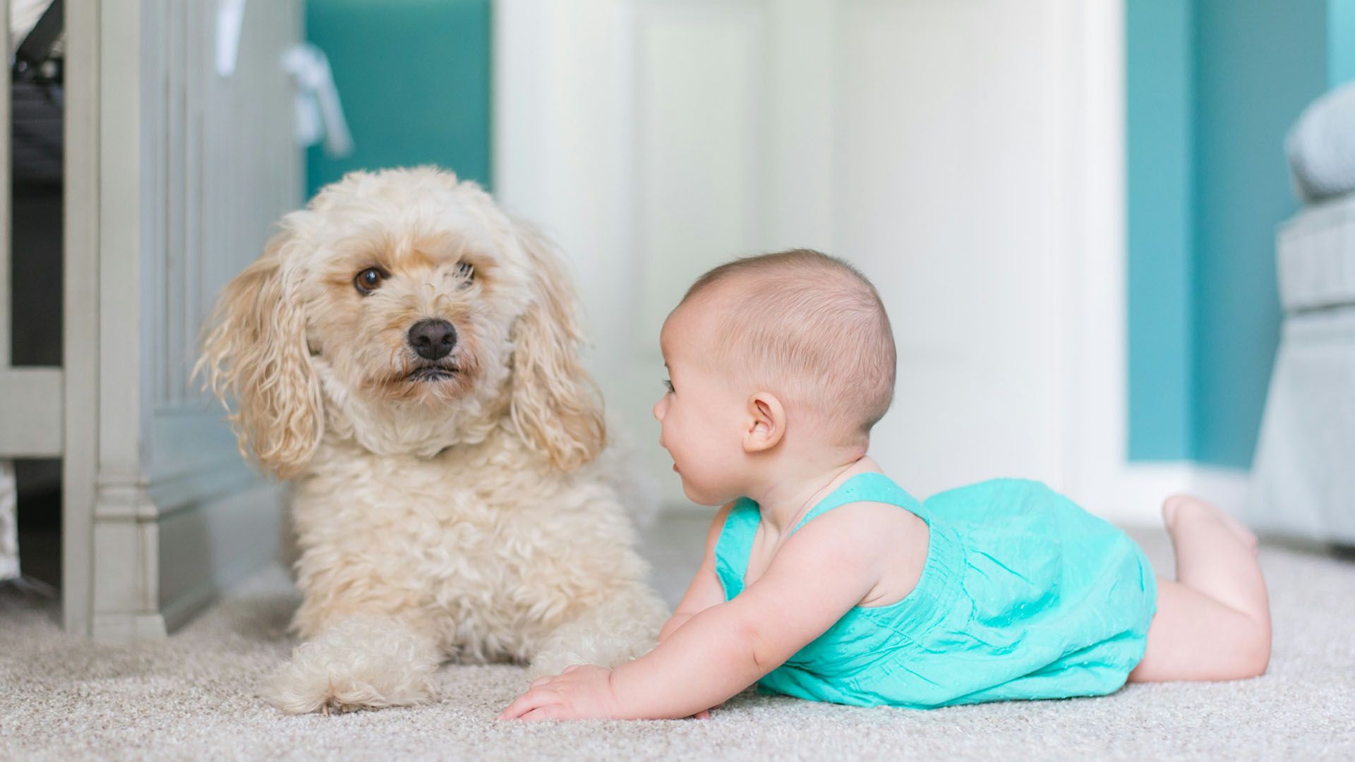 Baby product supplier