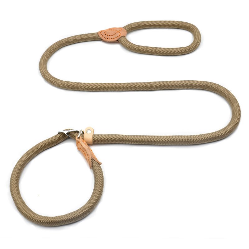 Training p dog leash slip type