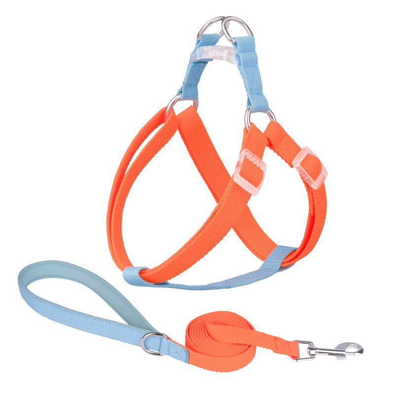 Macaron dog harness leash set