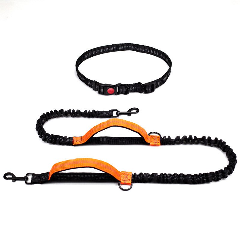 Running dog leash hands free