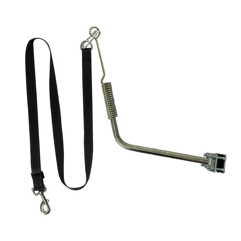 Bicycle dog leash with mount
