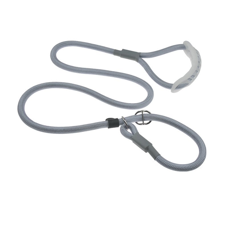 Training p dog leash control loop