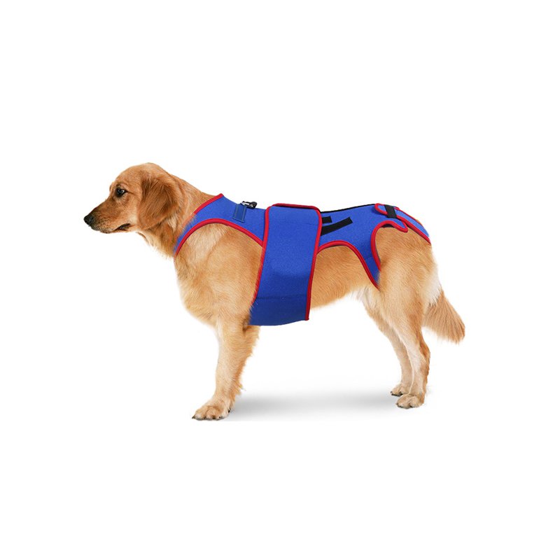 Dog Spine Support Vest
