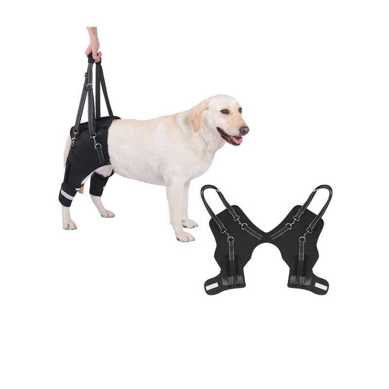 Dog Hind Leg Rehabilitation Lifting Sling